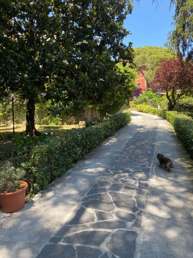 Le Magnolie Bed and Breakfast Santa Margherita Ligure Exterior foto